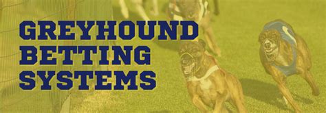 Part way through I was. . Greyhound betting systems